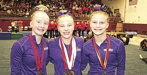 Melrose gymnasts spectacular at sections, send trio to state