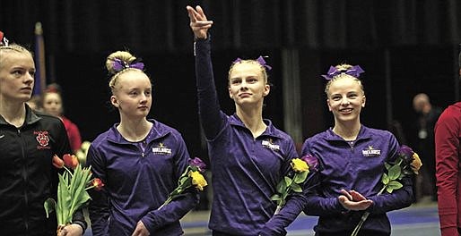 Melrose gymnasts reach competitive conclusion